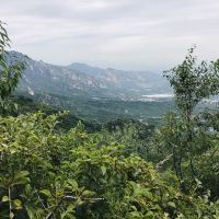 評論圖片 8