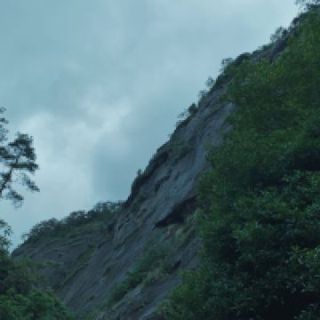 評論圖片 3