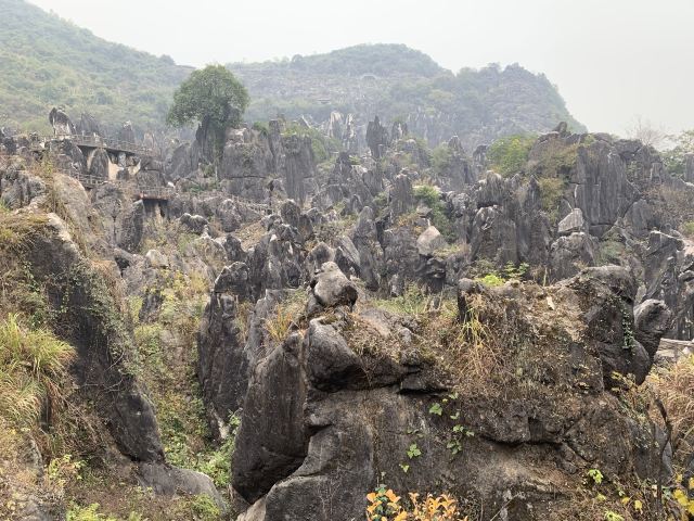 Jade Forest Scenic Area