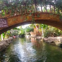 評論圖片 7