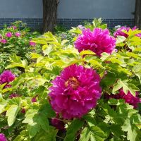 評論圖片 1