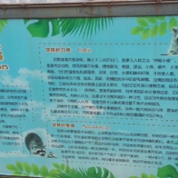 評論圖片 2