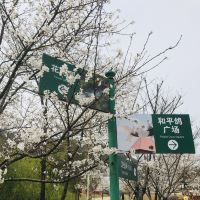 評論圖片 4