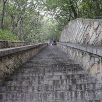 評論圖片 1