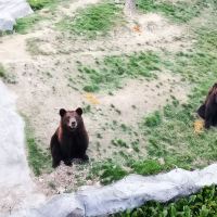 評論圖片 2