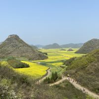 評論圖片 3