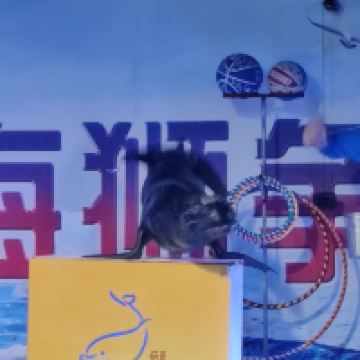 評論圖片 1