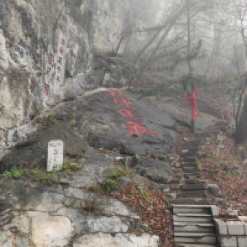 評論圖片 4