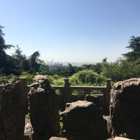 評論圖片 2