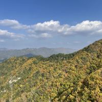 評論圖片 5