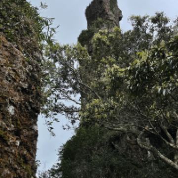 評論圖片 6