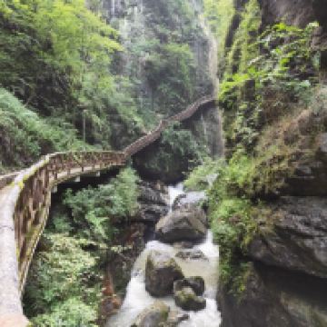 評論圖片 6