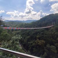 評論圖片 8