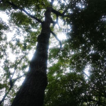 評論圖片 6