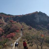 評論圖片 5