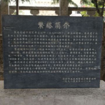 評論圖片 3
