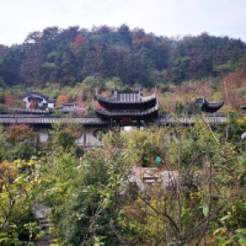 評論圖片 9