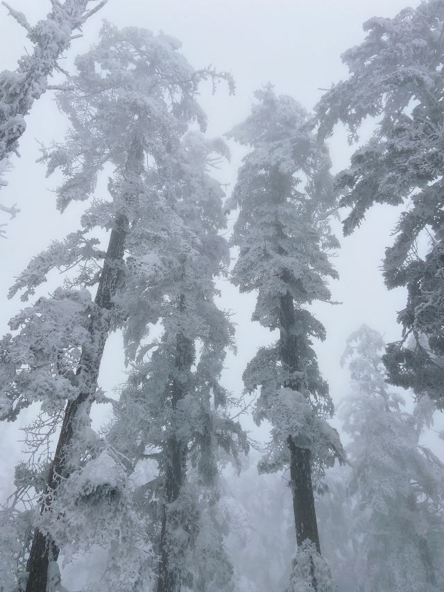 Wawushan Mountain Area