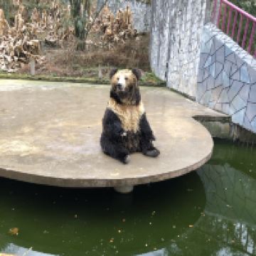 評論圖片 4