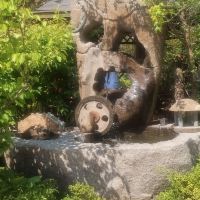 評論圖片 2