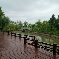 評論圖片 2