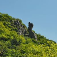 評論圖片 3