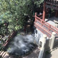 評論圖片 5