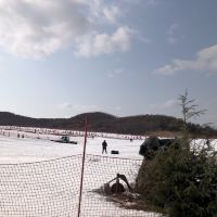 評論圖片 2