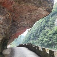 評論圖片 6