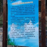 評論圖片 3