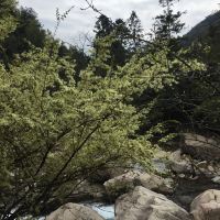 評論圖片 9