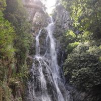 評論圖片 4