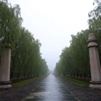 評論圖片 2
