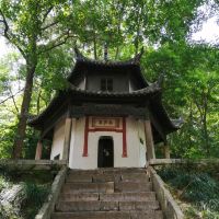 評論圖片 3