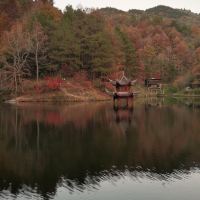 評論圖片 4