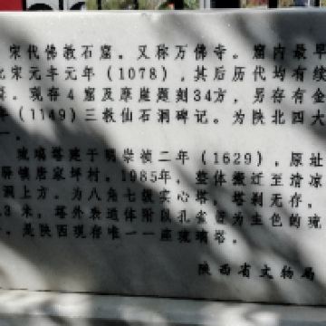 評論圖片 6