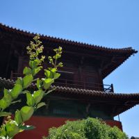評論圖片 5