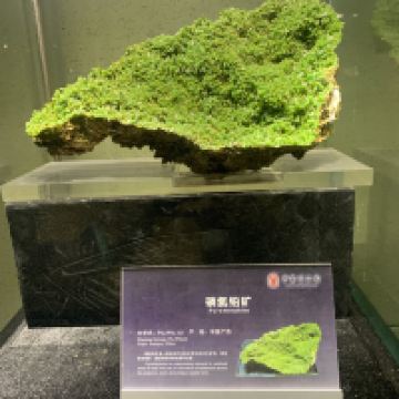 評論圖片 3