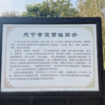 評論圖片 3