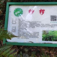 評論圖片 2