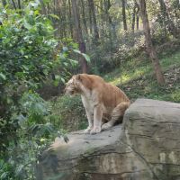評論圖片 3