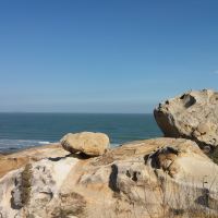 評論圖片 1