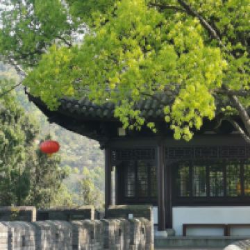 評論圖片 9