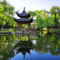 評論圖片 5
