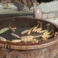 評論圖片 9