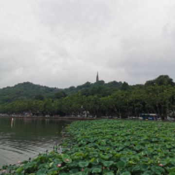 評論圖片 3