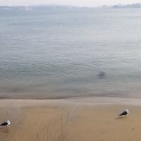 評論圖片 7