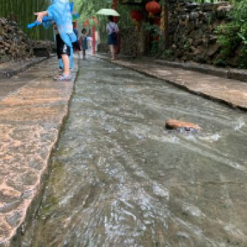 評論圖片 4