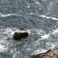 評論圖片 6