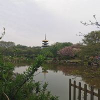 評論圖片 5